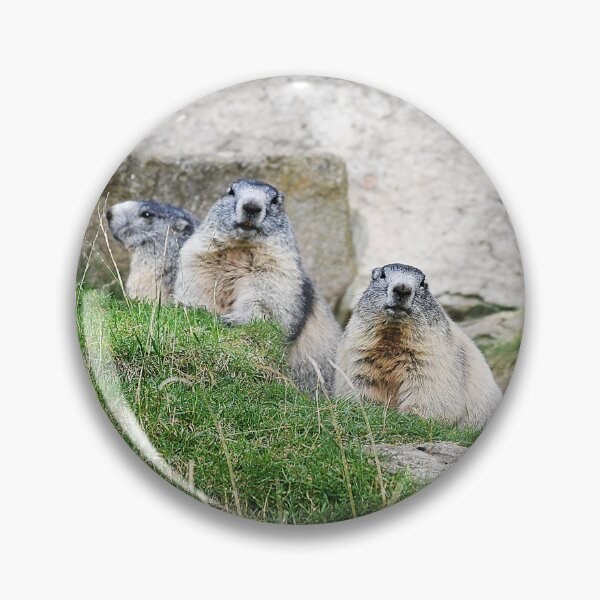 Item preview, Marmots designed and sold by Denis Charmot.