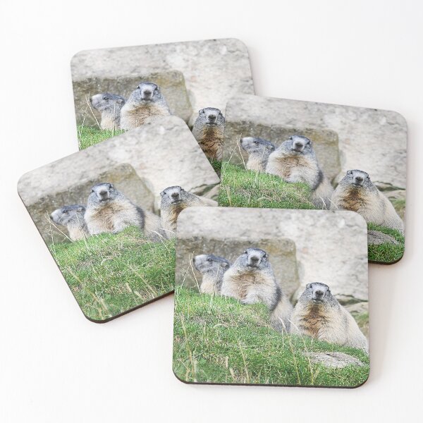 Item preview, Marmots designed and sold by Denis Charmot.