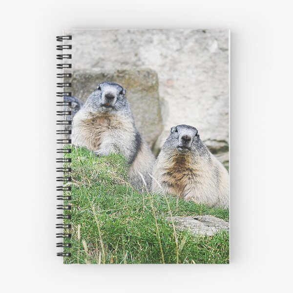 Item preview, Marmots designed and sold by Denis Charmot.