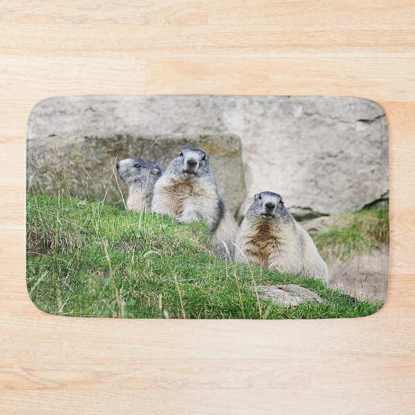 Item preview, Marmots designed and sold by Denis Charmot.