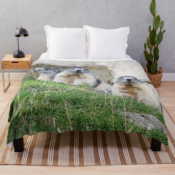 Item preview, Marmots designed and sold by Denis Charmot.