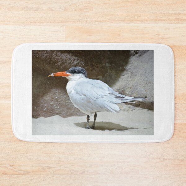 Item preview, Caspian Tern on a Sandy Spot designed and sold by richardbryce.