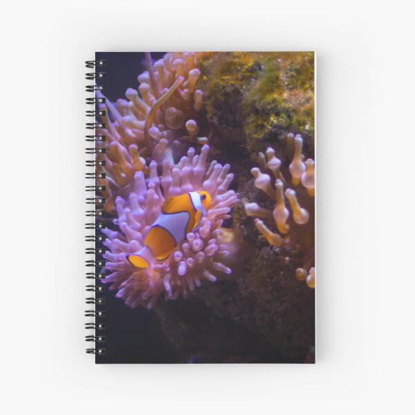 Item preview, Clown fish designed and sold by Matija Zuparic.