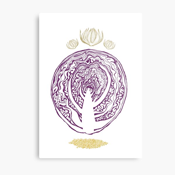Rotkohl Grafik Metallbild