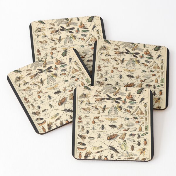 Item preview, Insects in French designed and sold by Salocin.