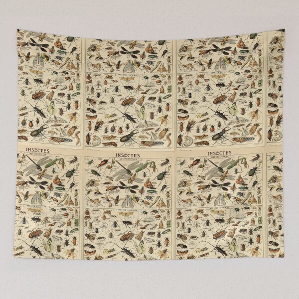 Item preview, Insects in French designed and sold by Salocin.