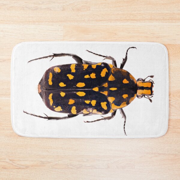 Item preview, Scarab Beetle (Euchroea vadoni) designed and sold by Tim Christensen.