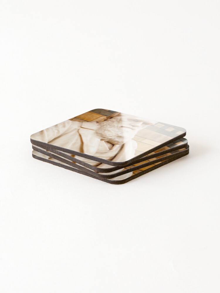 Thumbnail 4 of 5, Coasters (Set of 4), Darwin designed and sold by RJDowns.