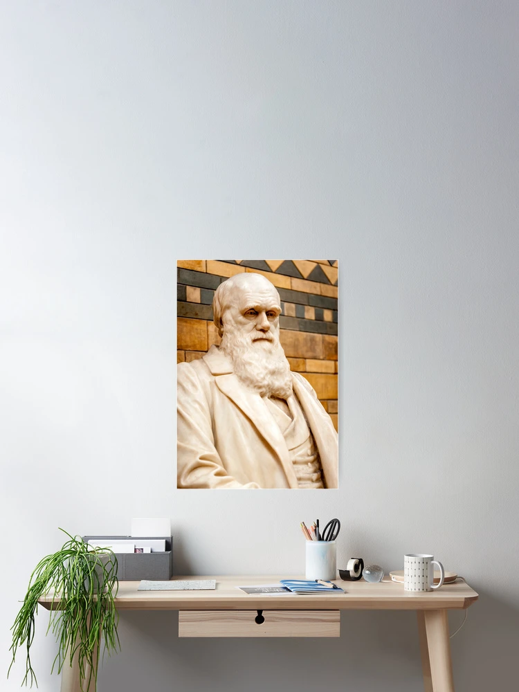 Thumbnail 2 of 3, Poster, Darwin designed and sold by RJDowns.