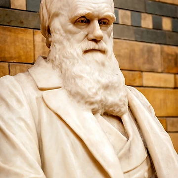 Artwork thumbnail, Darwin by RJDowns
