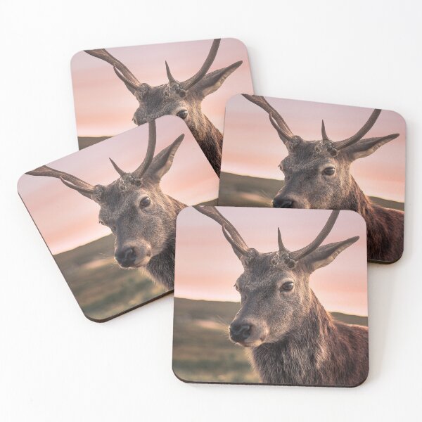 Aperçu de l'œuvre Glencoe Stag Sunset créée et vendue par AJPhotography90.
