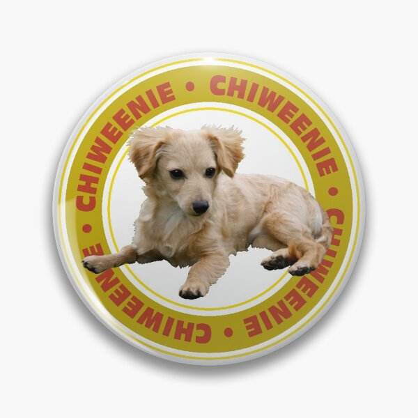 Item preview, Chiweenie Long Hair Dog designed and sold by Venture-Graphix.