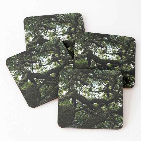 Item preview, Old Tree Gnarled Branches Pattern designed and sold by worldways.