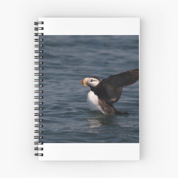 Item preview, STOCK ~ Horned Puffin Just Wingin' It designed and sold by akaurora.