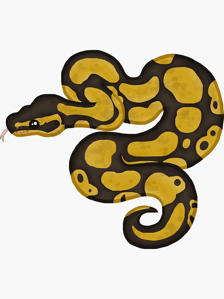 Нарисовать рисунок python