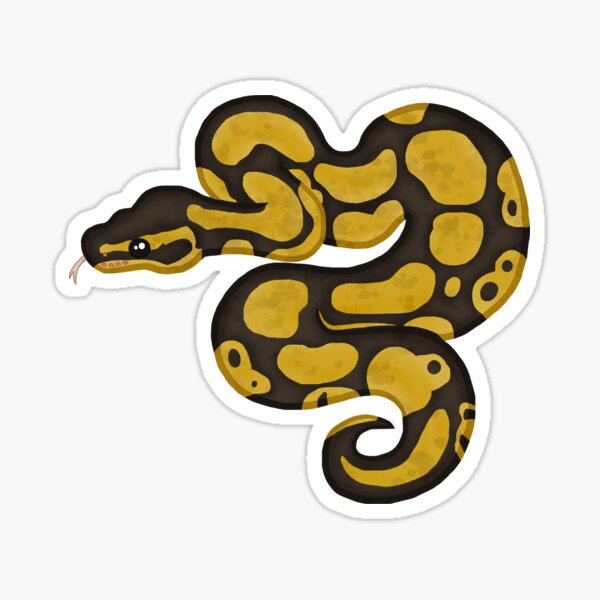 Paper, Party & Kids Papercraft snake sticker skull sticker Ball python ...