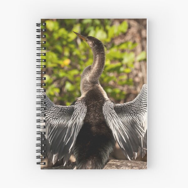 Item preview, STOCK ~ Anhinga designed and sold by akaurora.