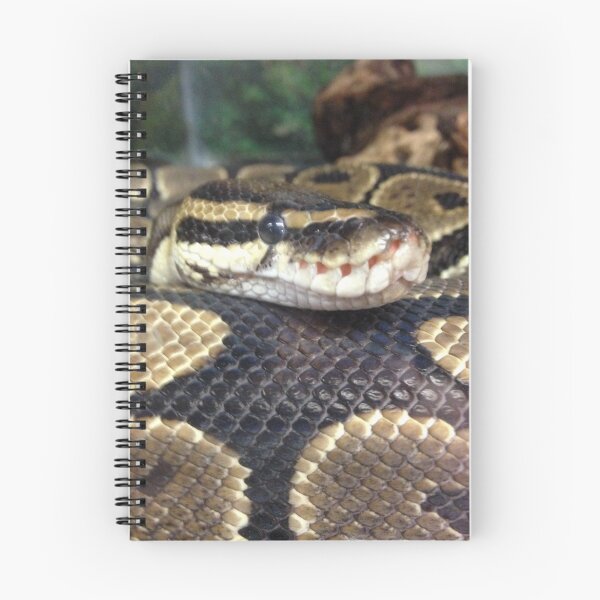 Item preview, Snake Snoot designed and sold by KeeperKraft.