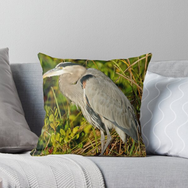 Item preview, STOCK ~ Great Blue Heron #2 designed and sold by akaurora.
