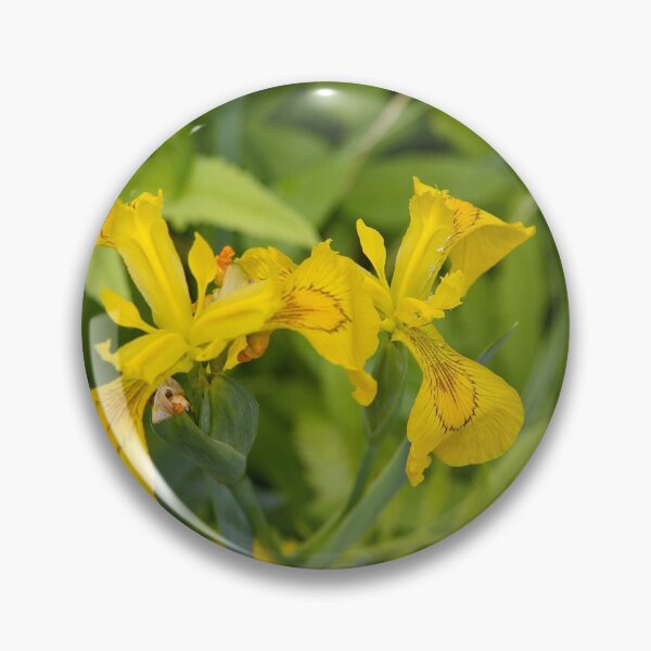 Item preview, Yellow Bird Iris designed and sold by Photos by Phil.