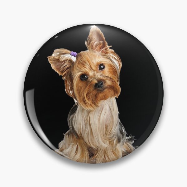 Item preview, Yorkshire Terrier dog pets dogs cute sweet designed and sold by Coolstuff4you71.