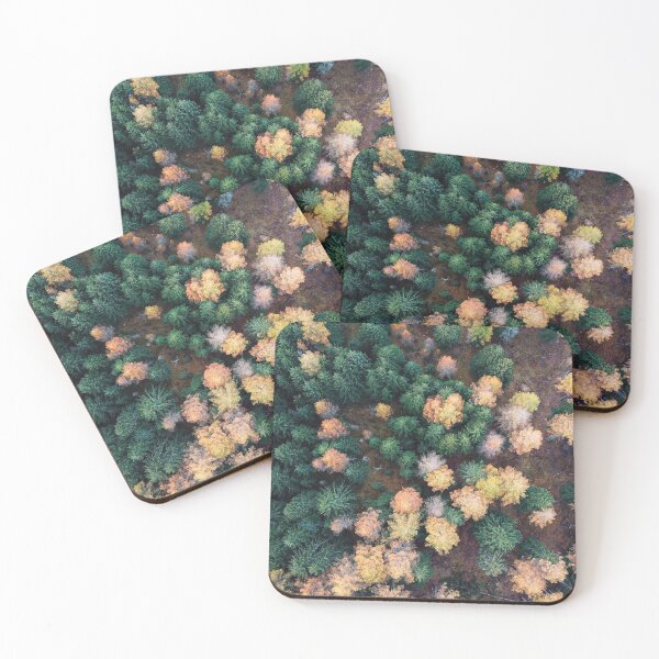 Item preview, Autumn forest designed and sold by Safawoodsart.