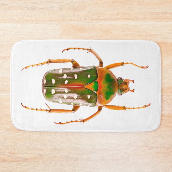 Item preview, Spotted Flower Beetle (Stephanorrhina guttata ashantica) designed and sold by Tim Christensen.