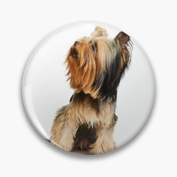 Item preview, Yorkshire Terrier dog pets dogs cute sweet designed and sold by Coolstuff4you71.