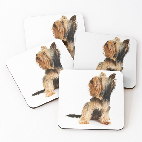 Item preview, Yorkshire Terrier dog pets dogs cute sweet designed and sold by Coolstuff4you71.