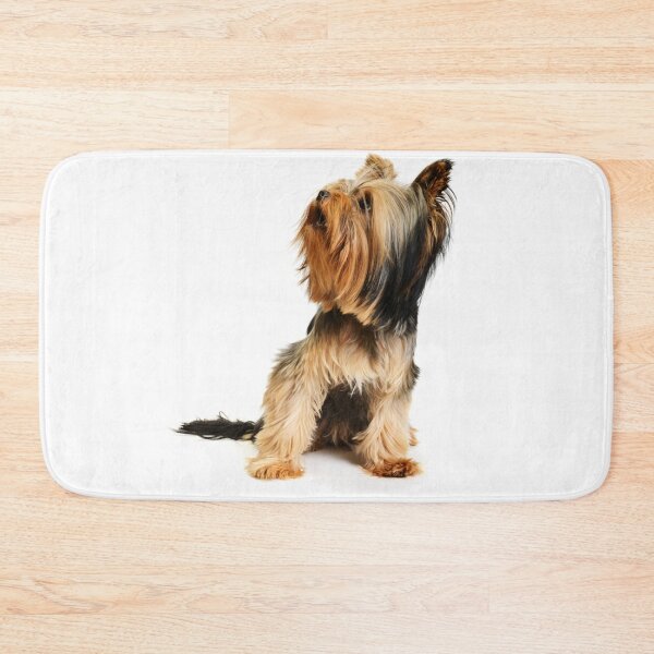 Item preview, Yorkshire Terrier dog pets dogs cute sweet designed and sold by Coolstuff4you71.