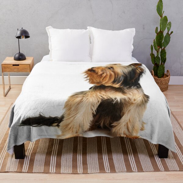 Item preview, Yorkshire Terrier dog pets dogs cute sweet designed and sold by Coolstuff4you71.