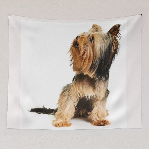 Item preview, Yorkshire Terrier dog pets dogs cute sweet designed and sold by Coolstuff4you71.