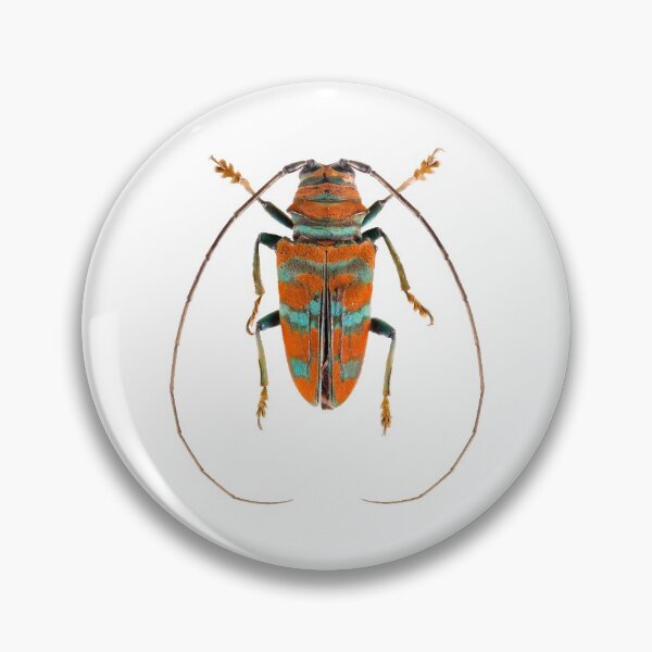 Item preview, Long Horn Beetle (Sternotomis pulchra) designed and sold by Tim Christensen.