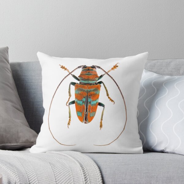 Item preview, Long Horn Beetle (Sternotomis pulchra) designed and sold by Tim Christensen.