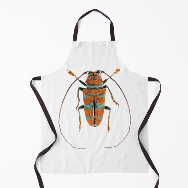 Item preview, Long Horn Beetle (Sternotomis pulchra) designed and sold by Tim Christensen.