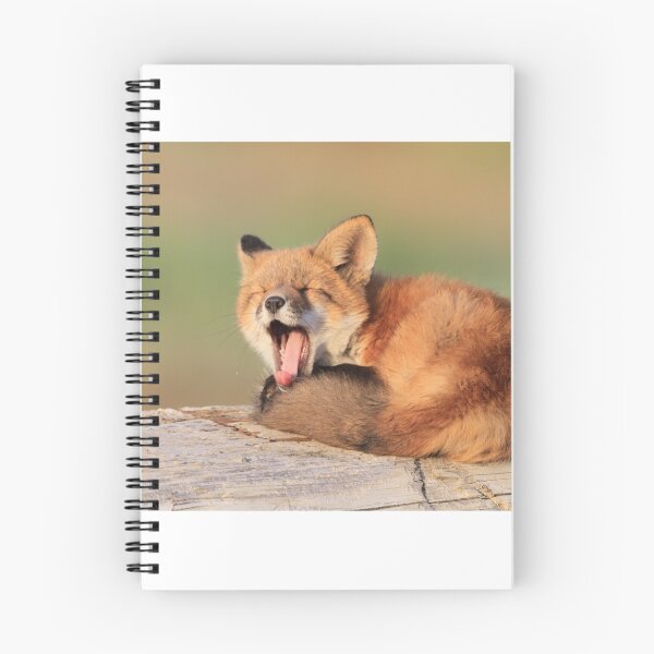 Item preview, Open Wide (Fox Kit) designed and sold by akaurora.