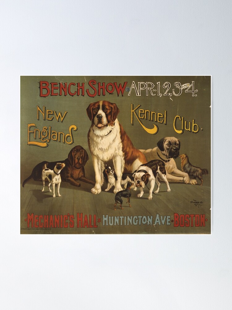 Alternate view of 'Kennel Club' Vintage Poster Poster