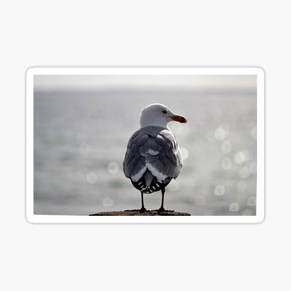 Item preview, Keeping watch designed and sold by Linda Crockett.