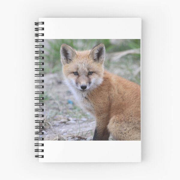 Item preview, Fox Kit designed and sold by akaurora.