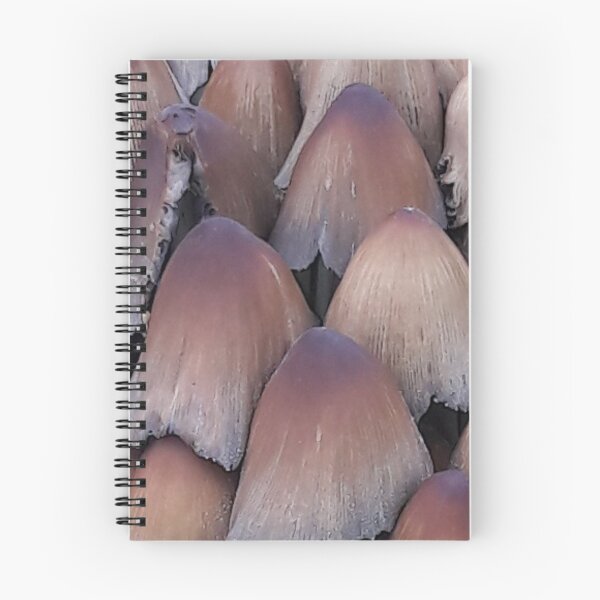 Item preview, Inky-cap Mushrooms designed and sold by Robert Elfferich.
