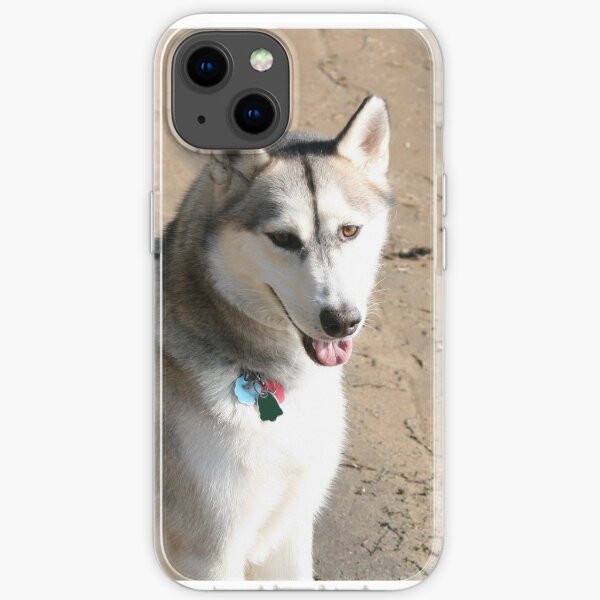 Husky Siberien Gifts Merchandise Redbubble