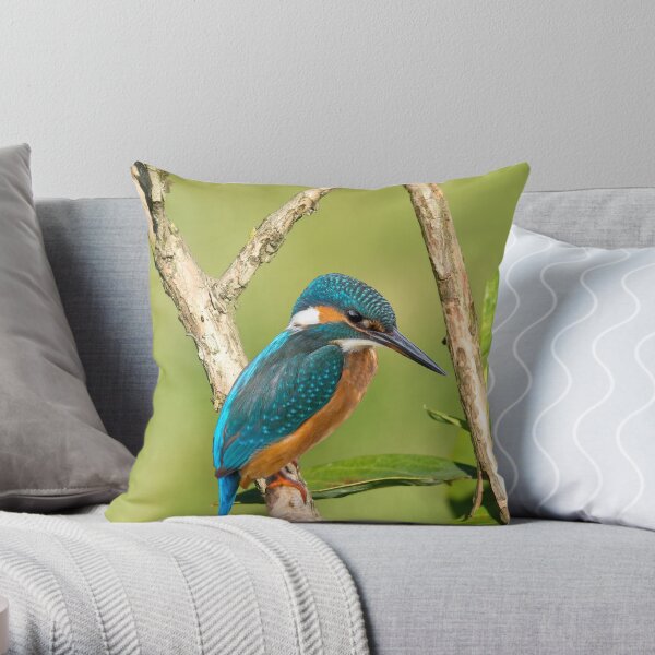 Kingfisher shop premium pillow