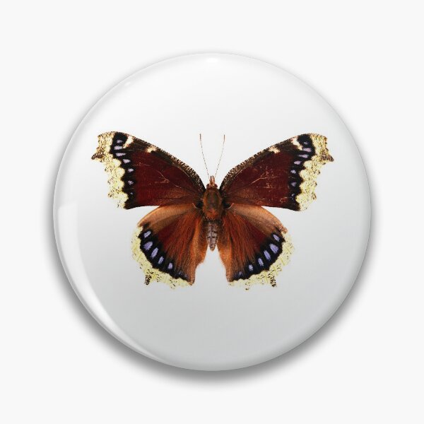 Item preview, Mourning Cloak Butterfly (Nymphalis antiopa) designed and sold by Tim Christensen.