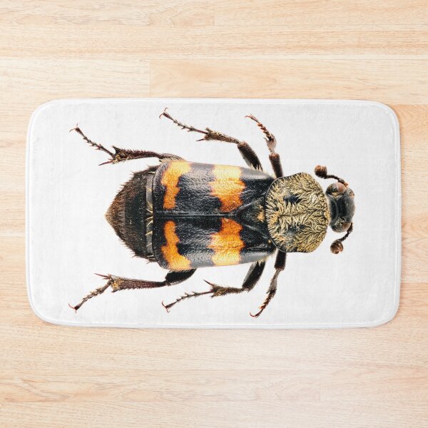 Item preview, Gold-necked burying beetle (Nicrophorus tomentosus) designed and sold by Tim Christensen.