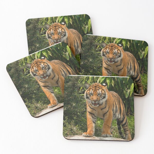 Item preview, A Sumatran Tiger designed and sold by lilbuddha19.