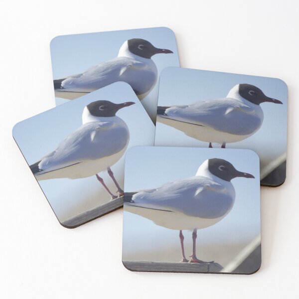 Item preview, Black-headed gull designed and sold by EastofAngland.