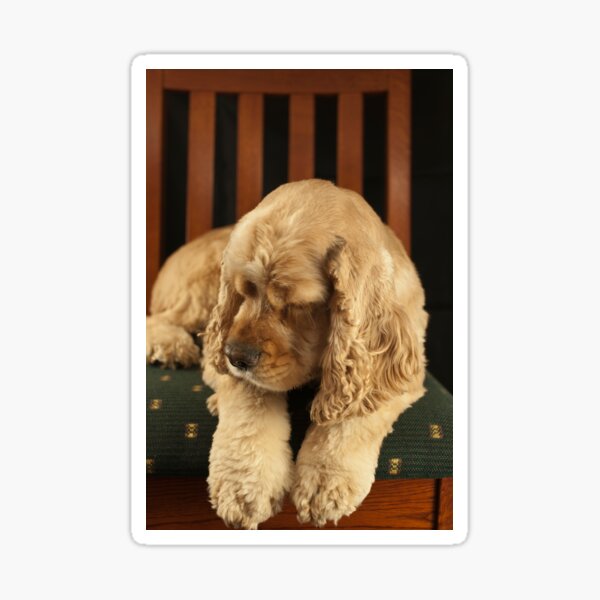 Forlorn Sticker