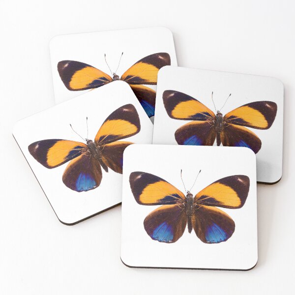 Item preview, Dotted Glory Butterfly (Asterope markii davisii) designed and sold by Tim Christensen.