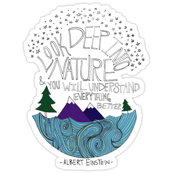 einstein nature stickers by leah flores redbubble