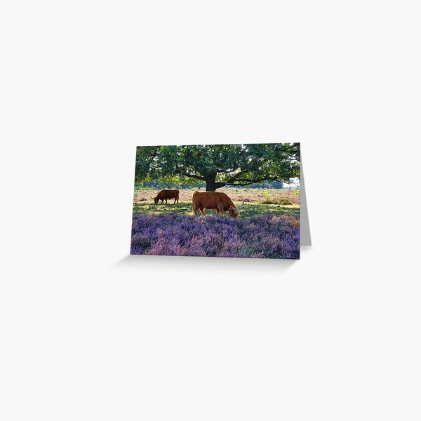 Grazing between green and purple Greeting Card